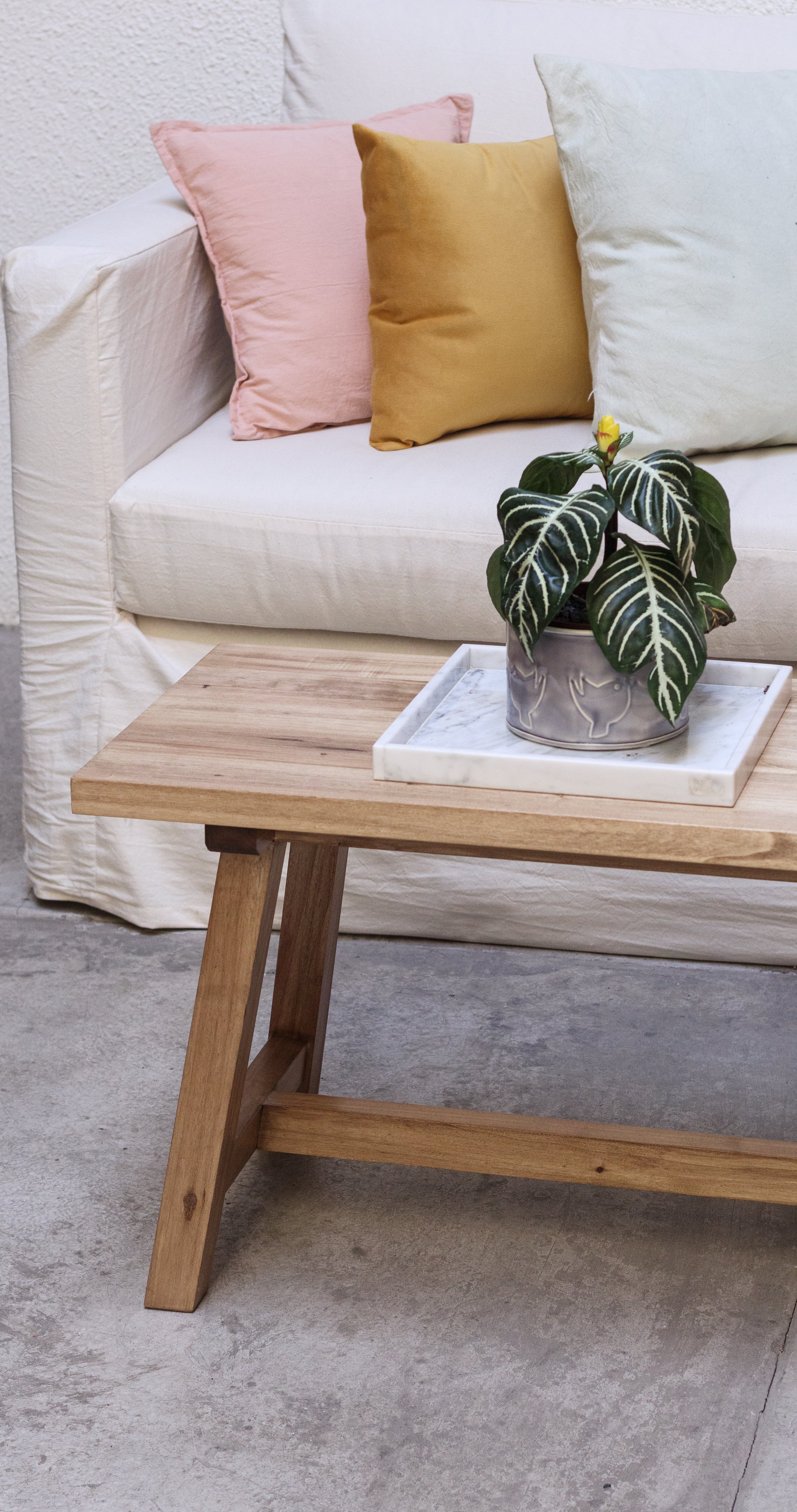 Banco Julia - loro blanco