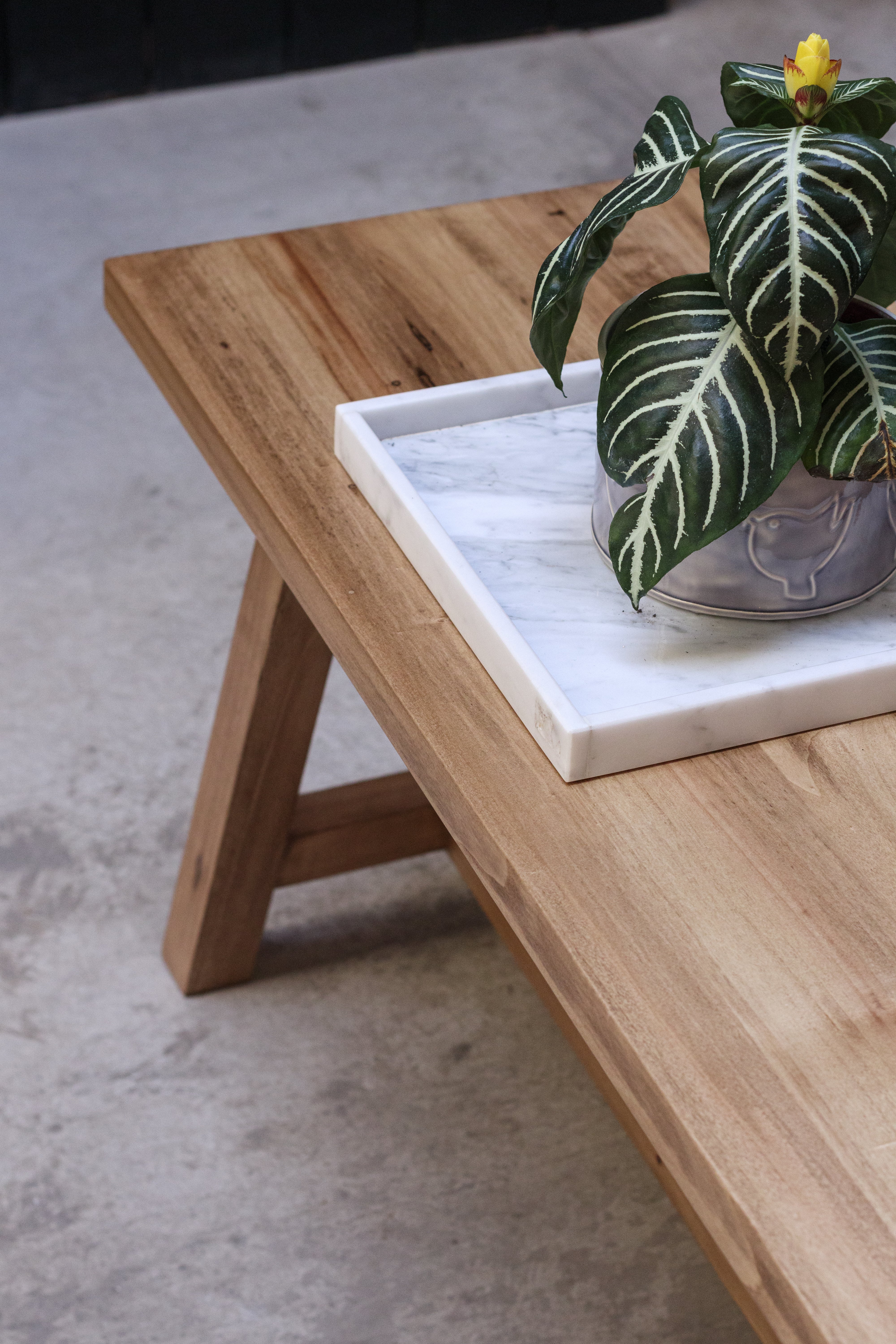 Banco Julia - loro blanco