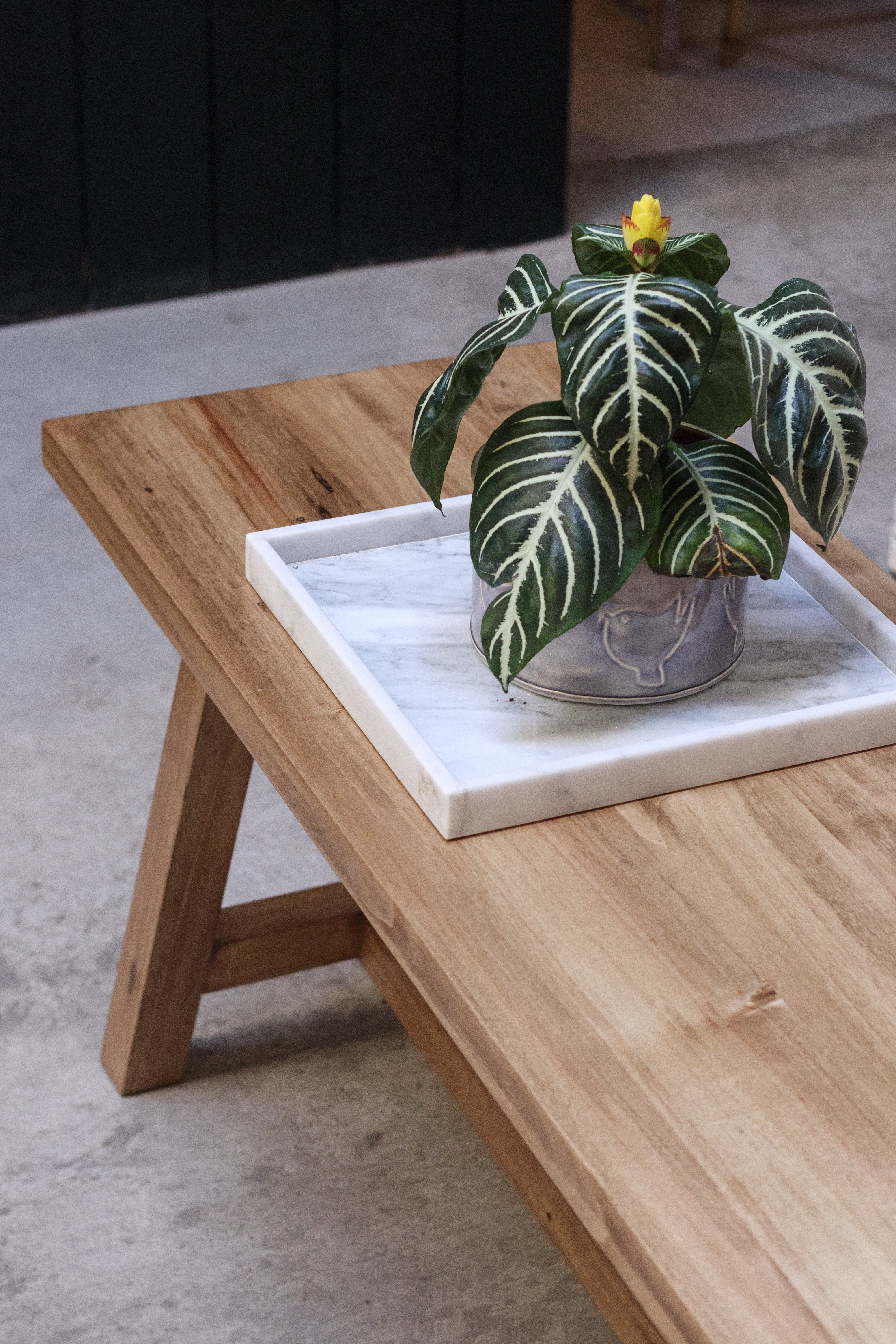 Banco Julia - loro blanco