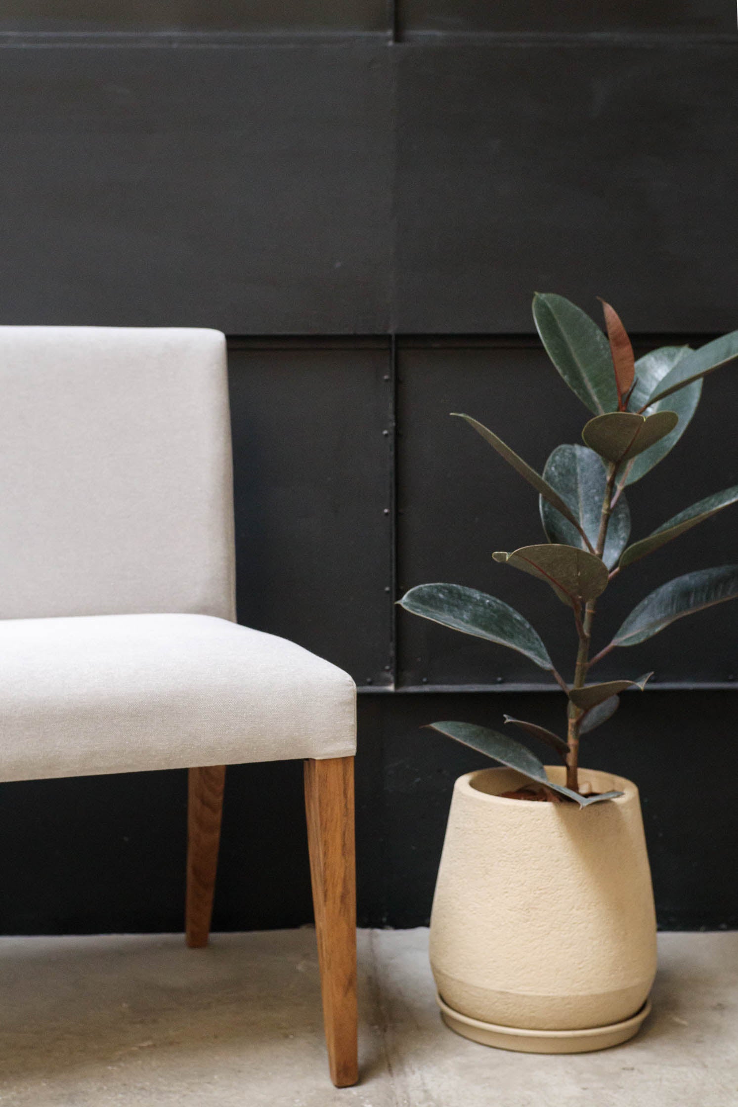 Silla Doble New Classic Petiribi