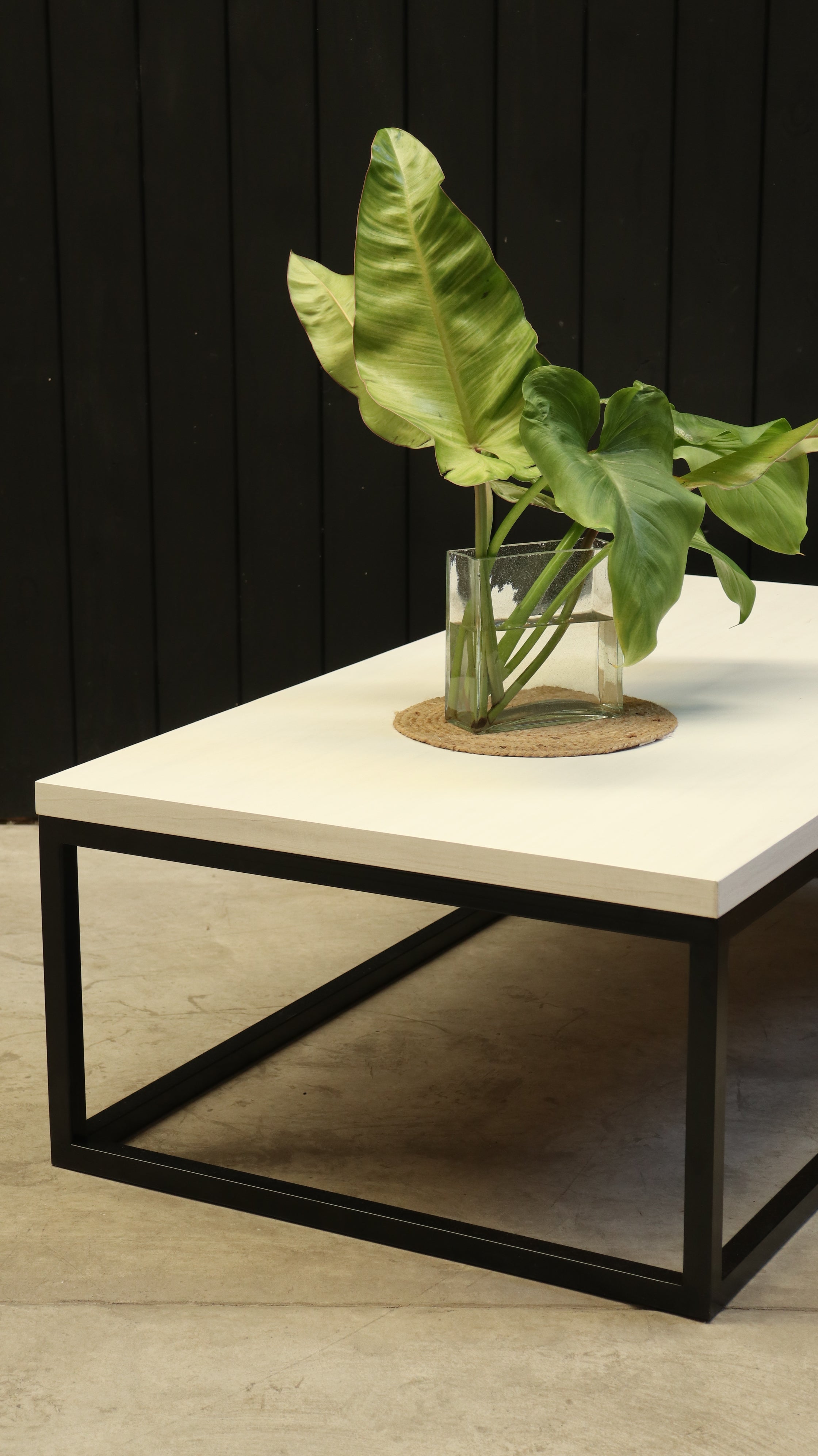 Ratona Manhattan TAPA LISA paraíso patinada